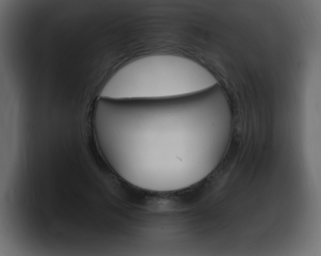 X0000100390743200806060833