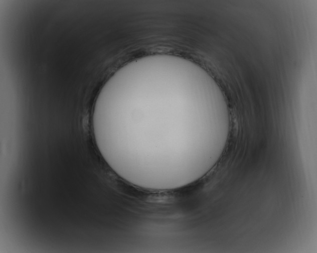 X0000100390745200806060833