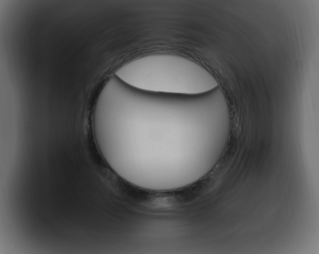X0000100390746200806060833