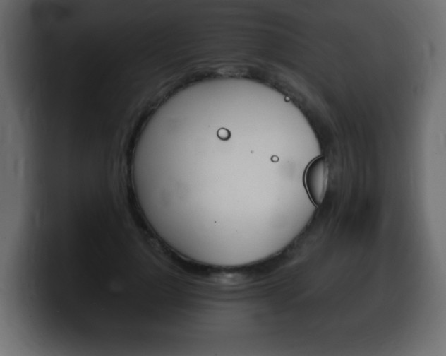 X0000100390748200806060833
