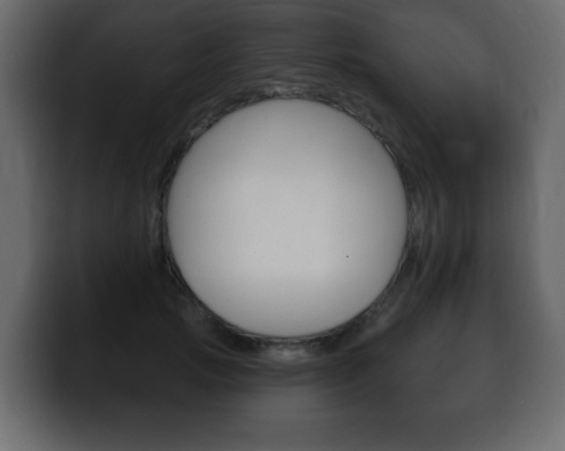 X0000100390749200806060833