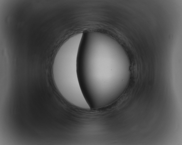 X0000100390750200806060833