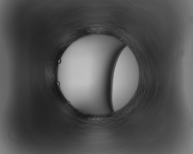 X0000100390751200806060833