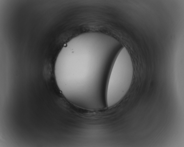 X0000100390752200806060833