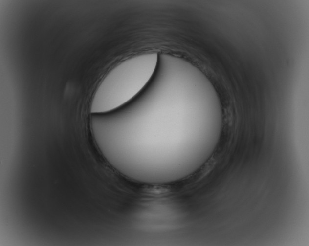 X0000100390754200806060833