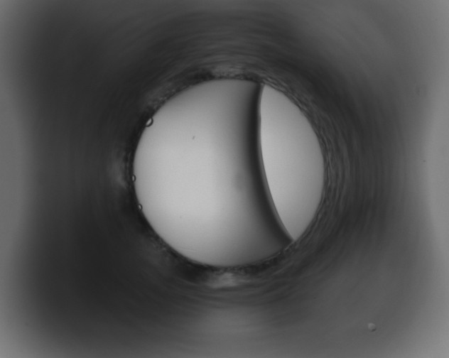 X0000100390755200806060833