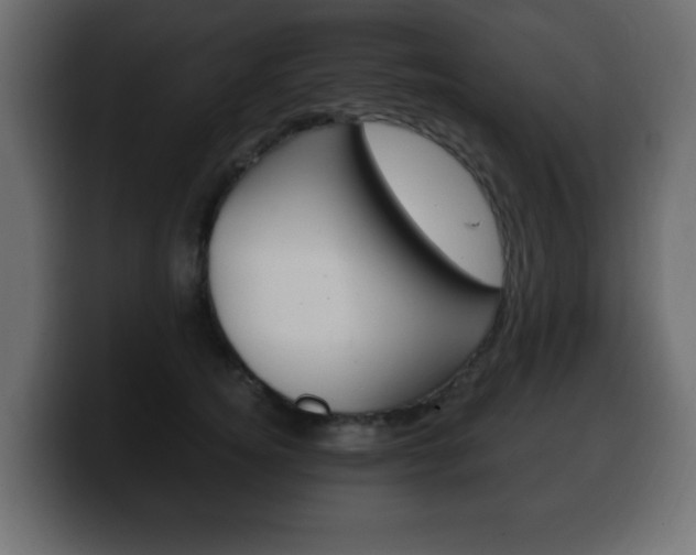 X0000100390756200806060833