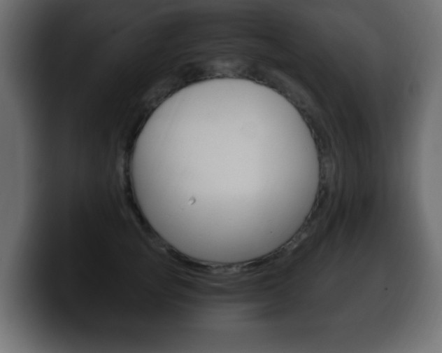 X0000100390757200806060833