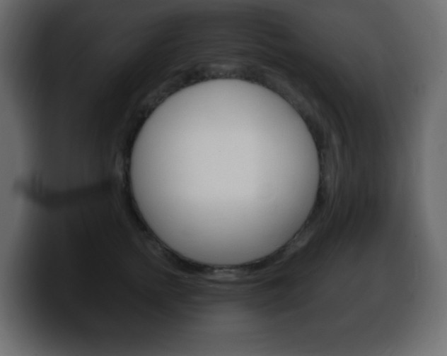 X0000100390758200806060833