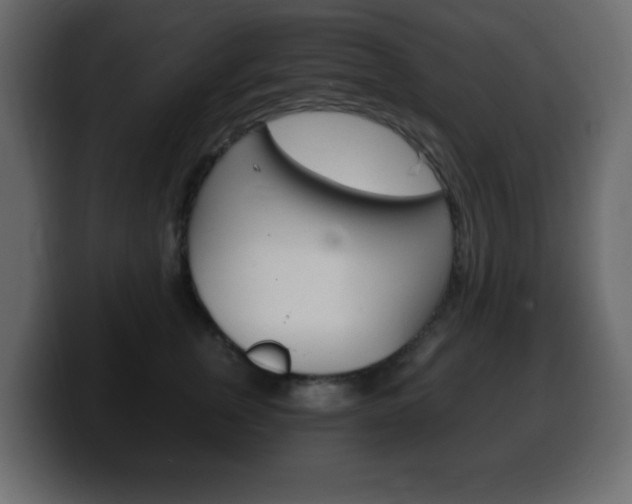 X0000100390759200806060833