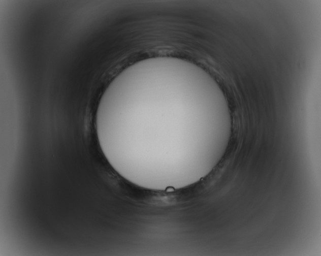 X0000100390760200806060833