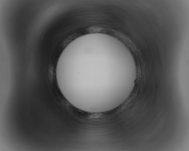 X0000100390761200806060833