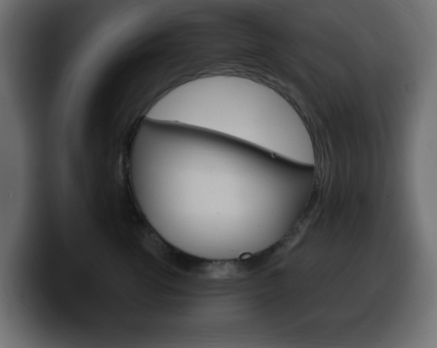 X0000100390762200806060833