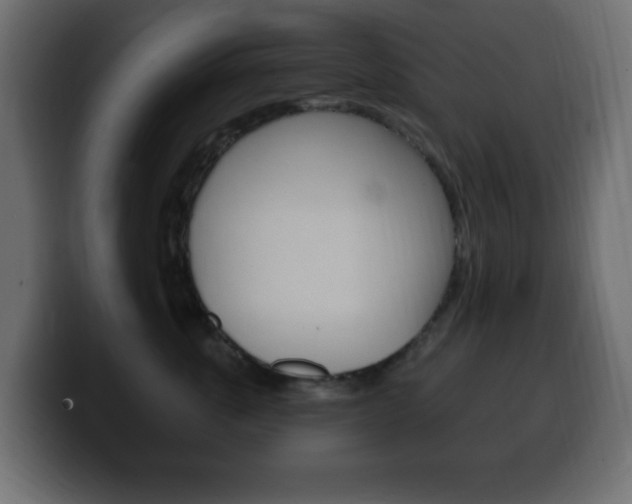 X0000100390763200806060833