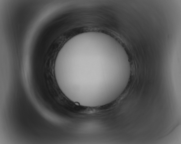 X0000100390764200806060833