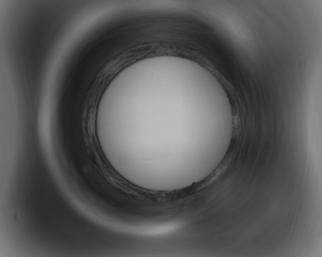 X0000100390765200806060833