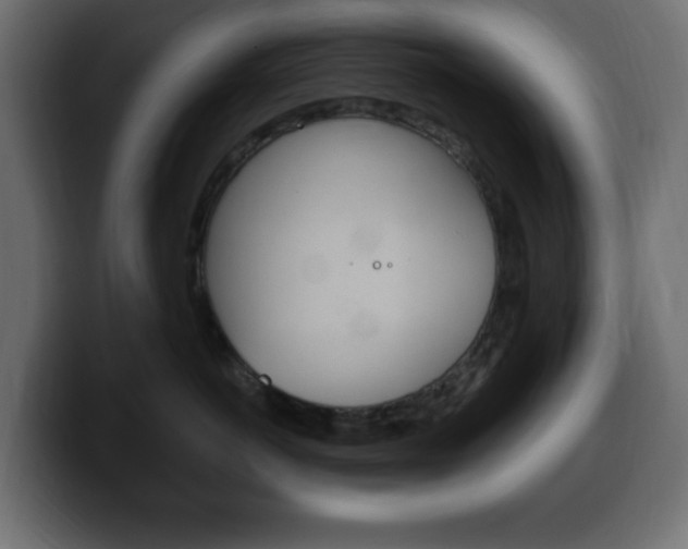 X0000100390766200806060833