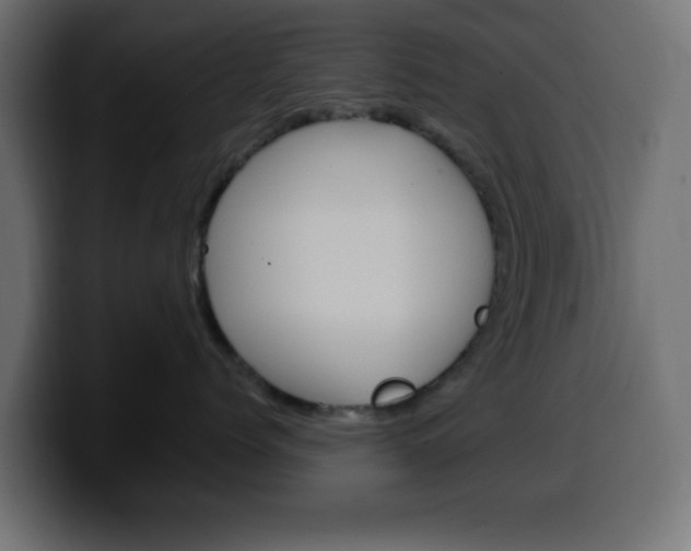 X0000100390768200806060833