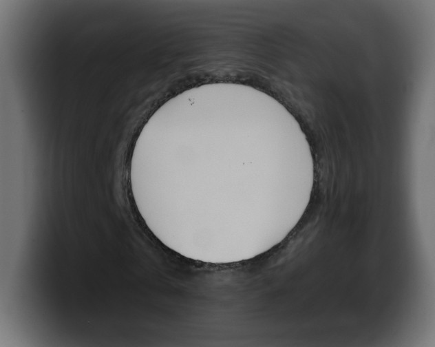 X0000100390769200806060833