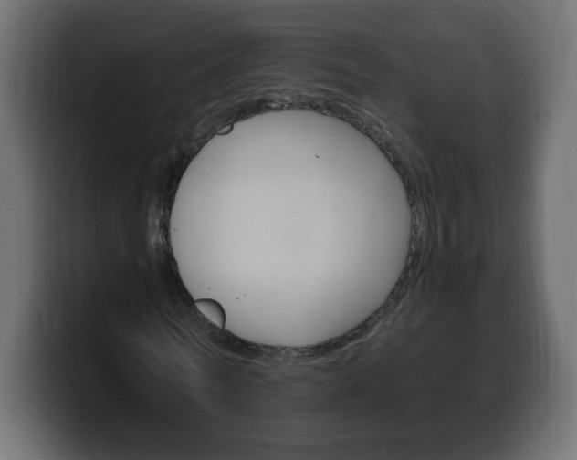 X0000100390770200806060833