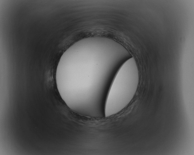 X0000100390771200806060833
