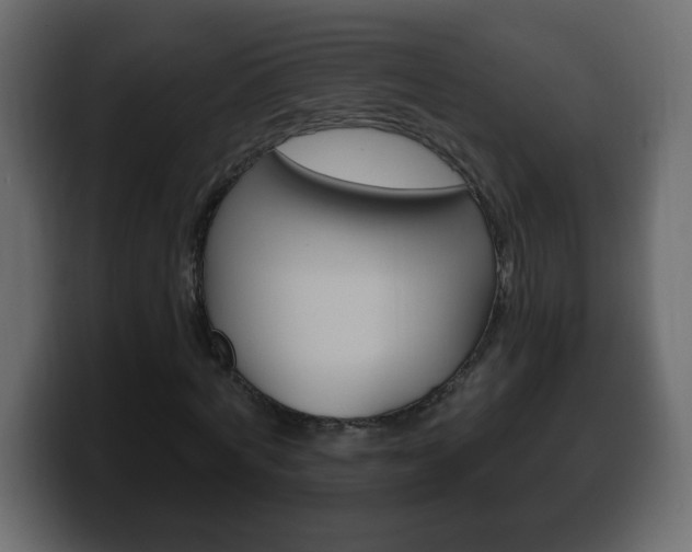 X0000100390772200806060833