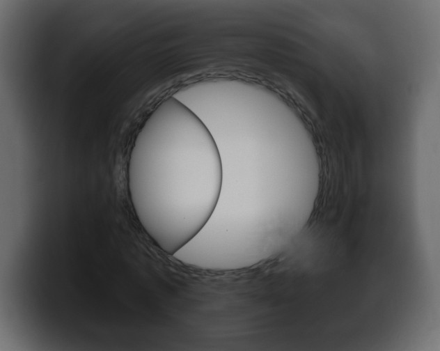 X0000100390773200806060833