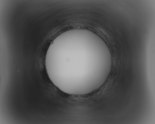 X0000100390774200806060833