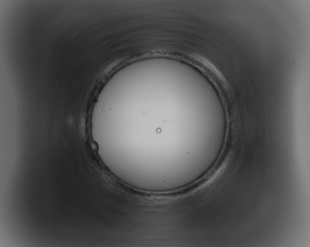 X0000100390777200806060833