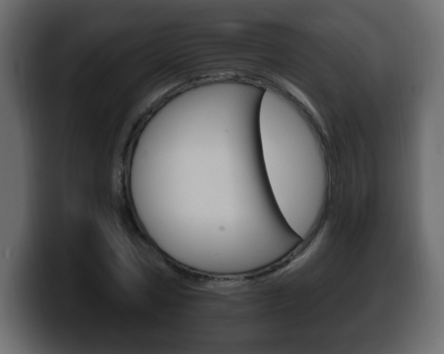 X0000100390778200806060833