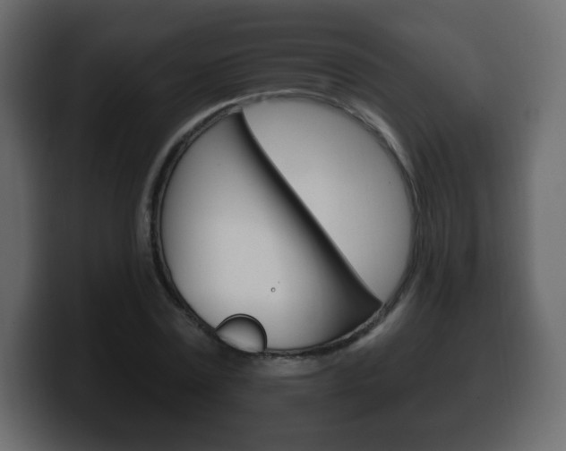 X0000100390779200806060833