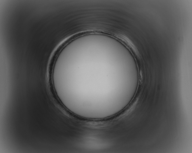 X0000100390780200806060833