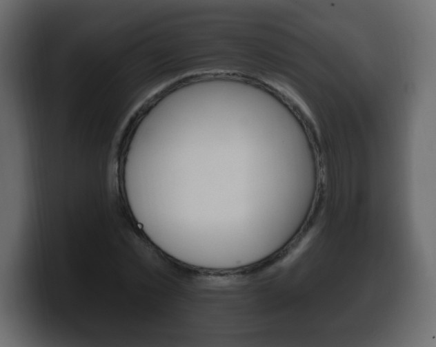 X0000100390781200806060833