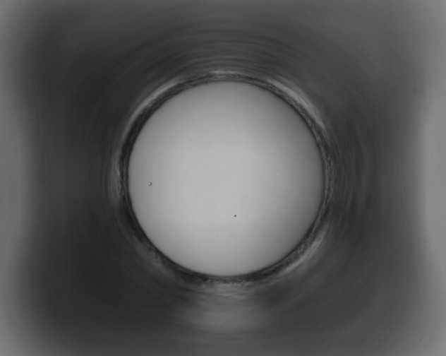 X0000100390782200806060833