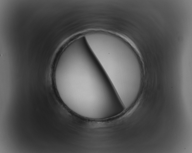 X0000100390783200806060833