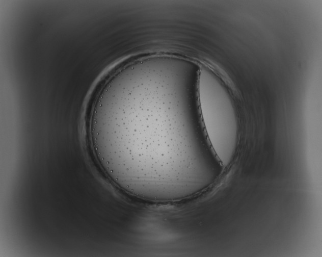 X0000100390784200806060833