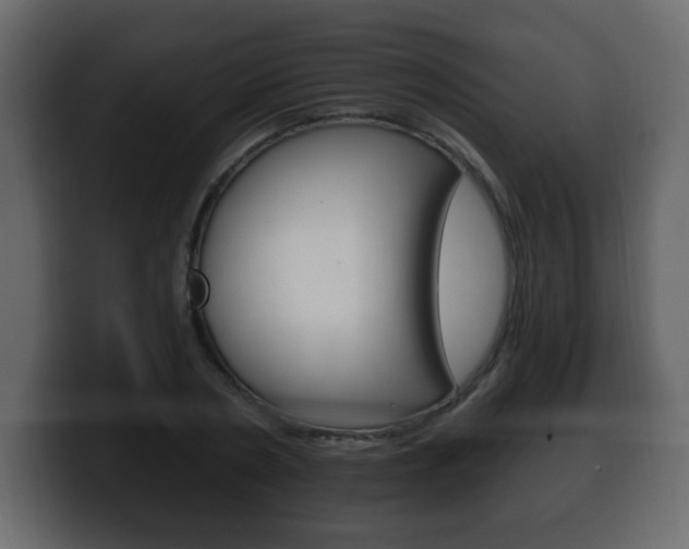 X0000100390786200806060833