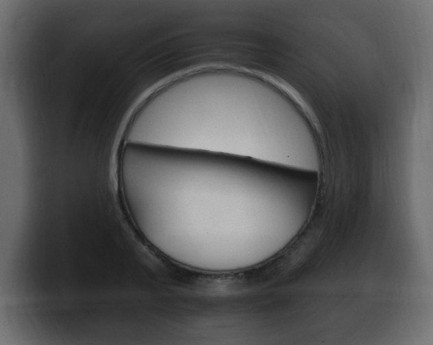 X0000100390791200806060832
