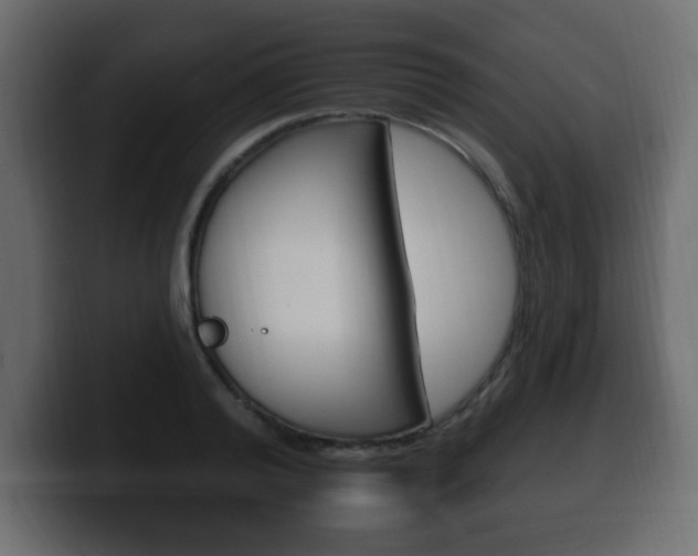 X0000100390792200806060832