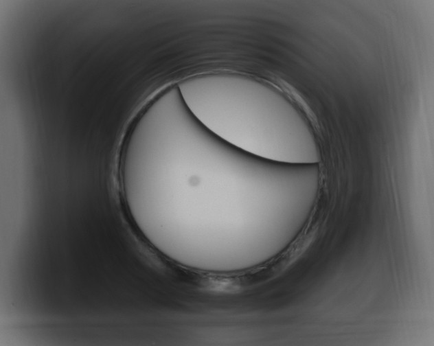 X0000100390794200806060832