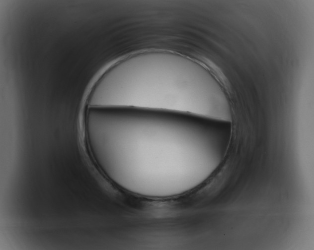 X0000100390796200806060832