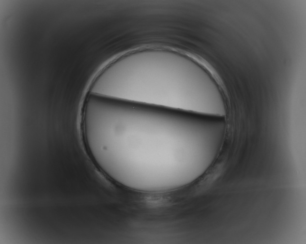 X0000100390799200806060832