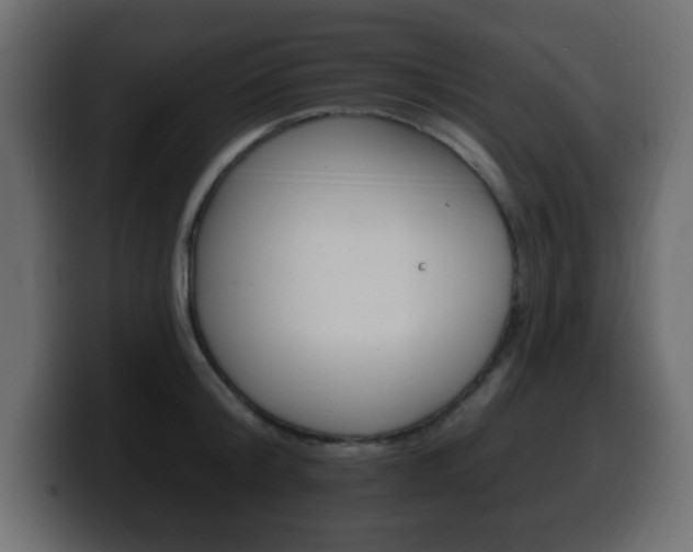 X0000100390804200806060832
