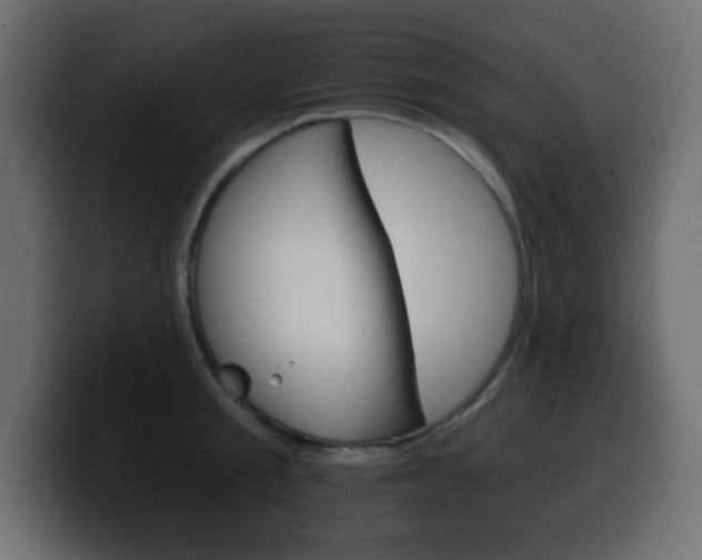 X0000100390805200806060832