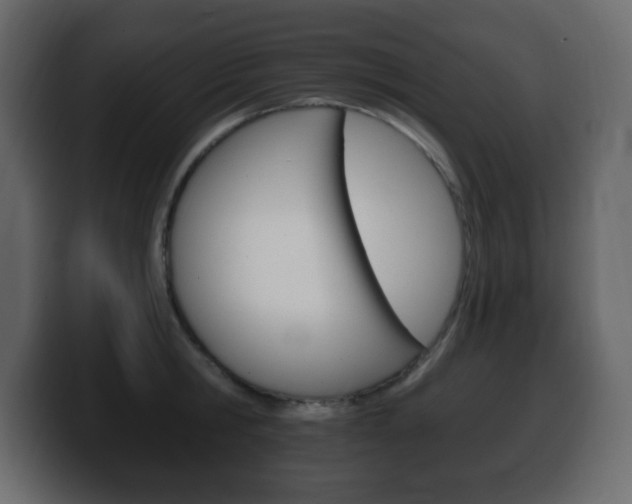X0000100390806200806060832