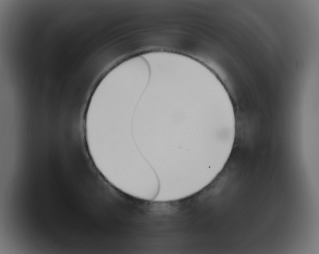 X0000100390807200806060832