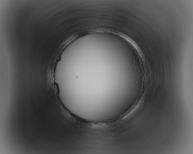 X0000100390809200806060832