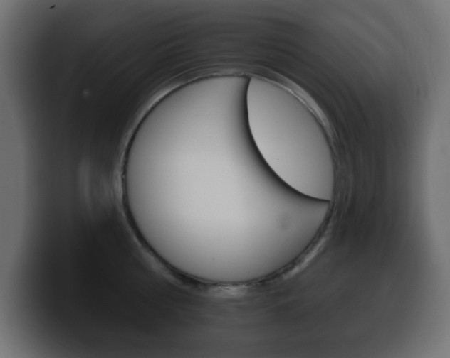 X0000100390810200806060832