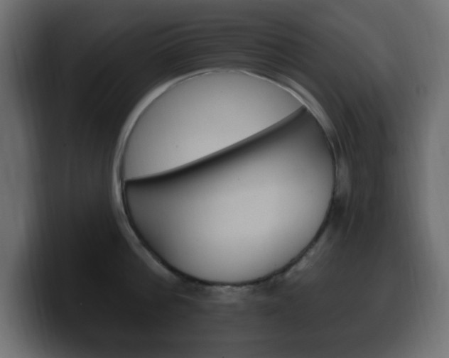 X0000100390812200806060832