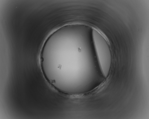 X0000100390813200806060832